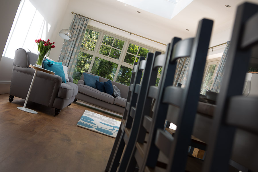 Dining and living room