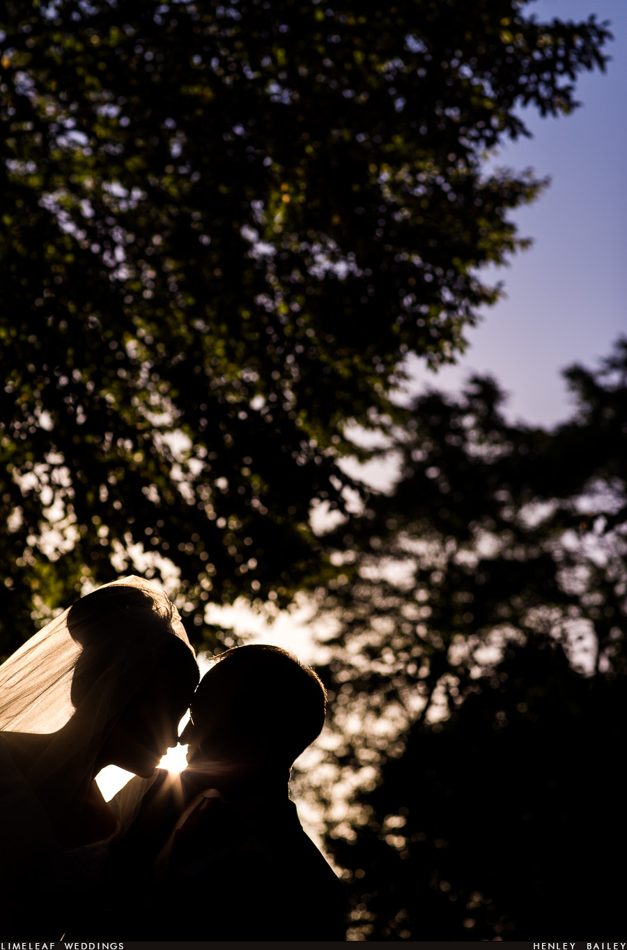 Ashley and Alan couple photo silhouette