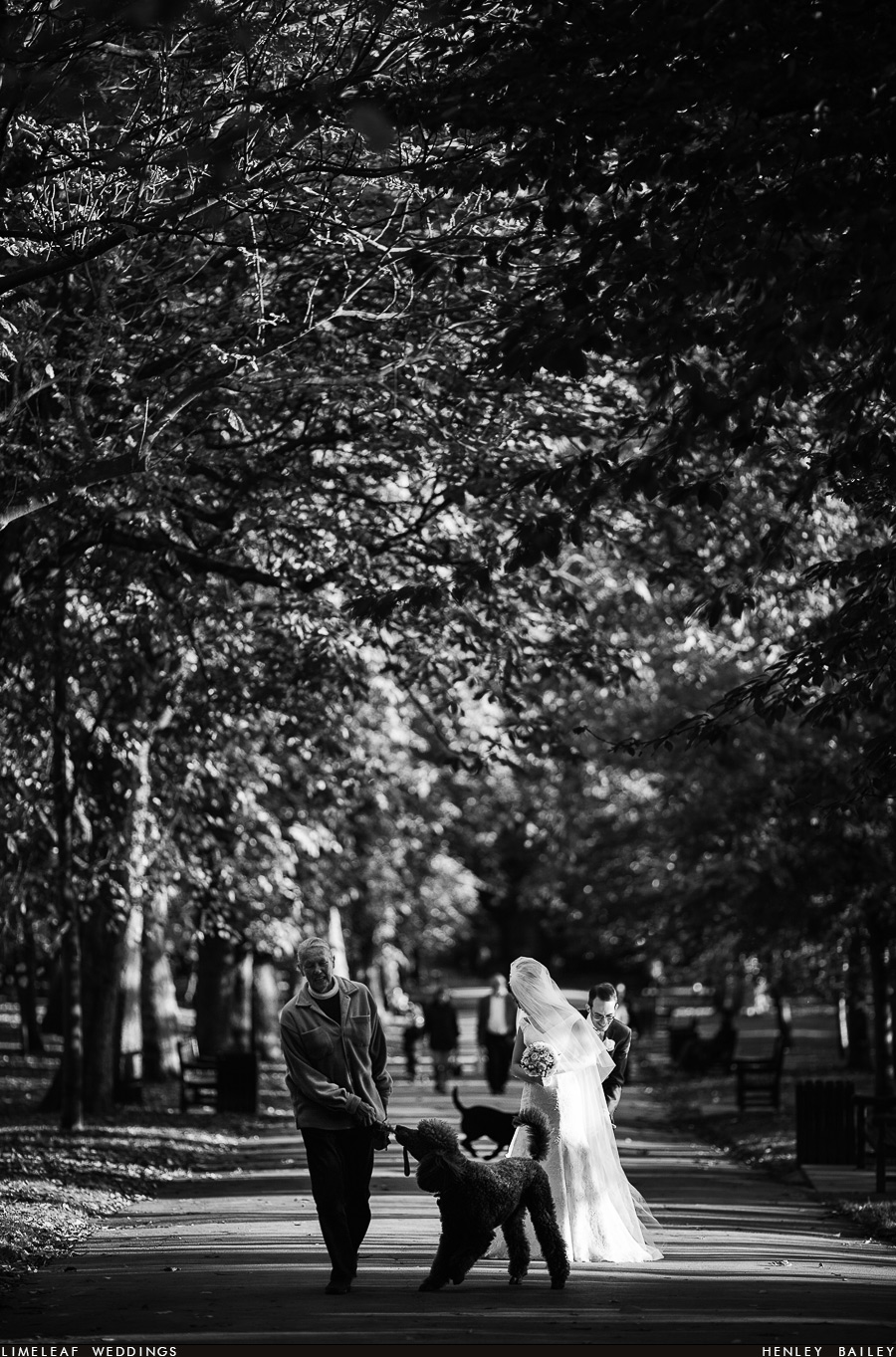 Ashley and Alan prepare for a couple photo near the Orangery, Holland Park.
