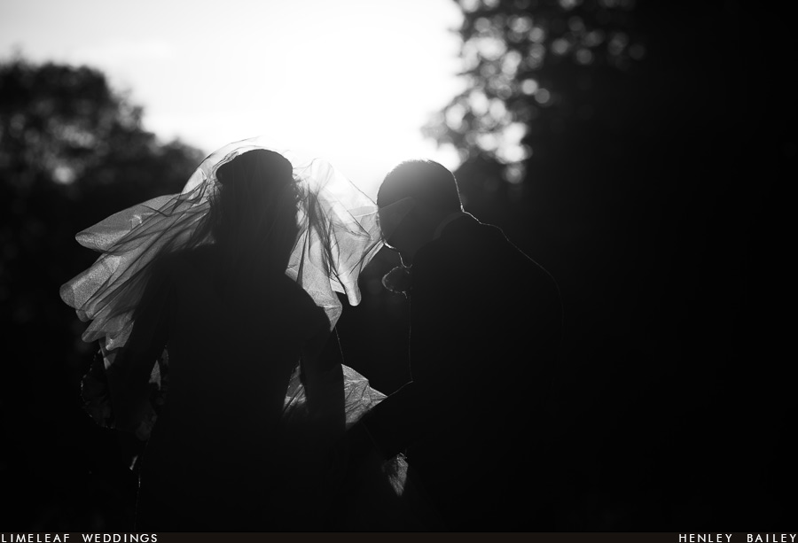Silhouette of the bride's veil and groom