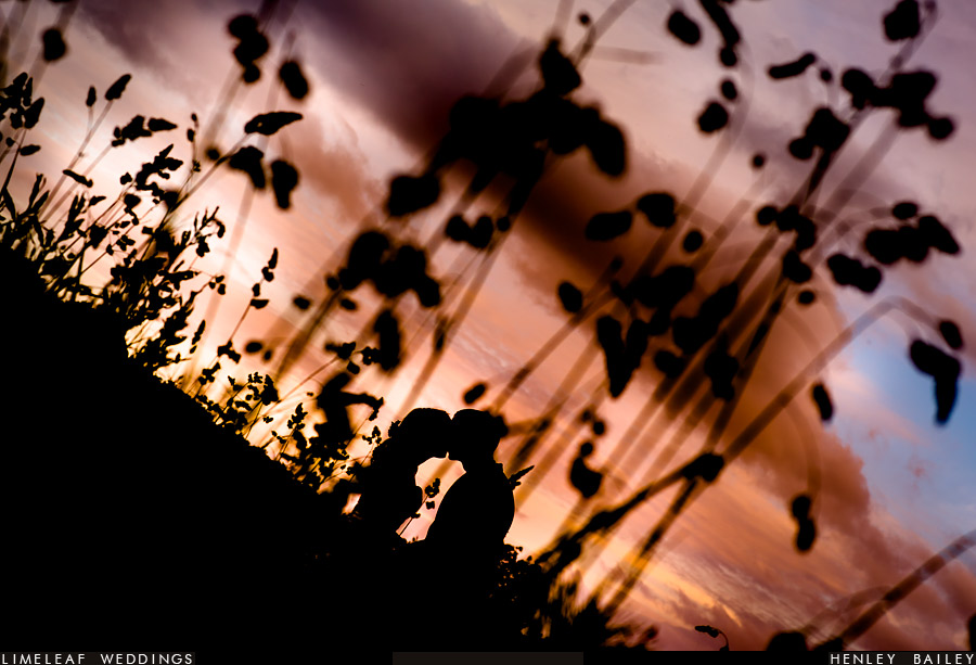 River Cottage wedding with Kate and Josh